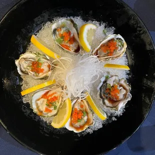 Kumamoto oysters