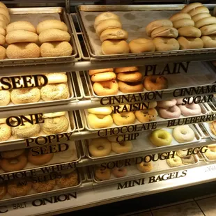 Mmmmm Bagels