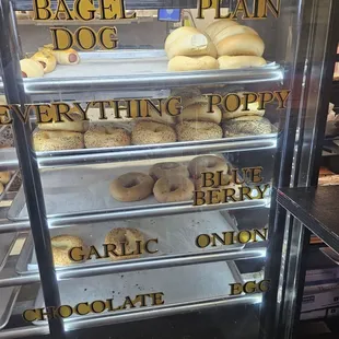 a display case of bagels