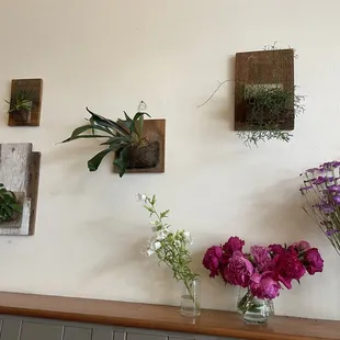 Wall garden inside