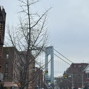 a view of the brooklyn bridge