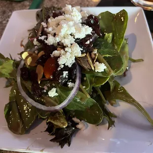 Garden salad