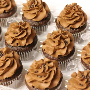 Double chocolate cupcakes