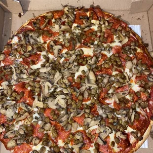 16&quot; pepperoni, sausage, &amp; mushroom pizza