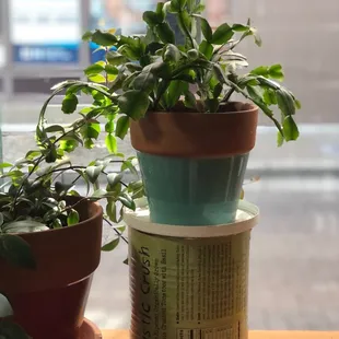 a stack of plant pots on a table