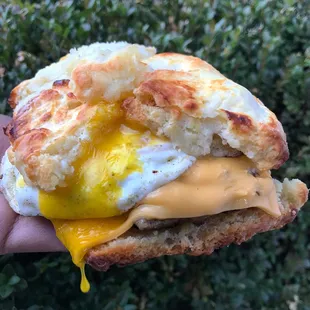 Sausage, Egg &amp; Cheese ($10)