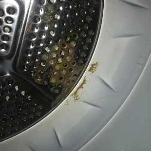 Filthy dryer they provided us