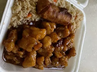 Imperial Garden Express IV