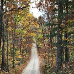 The road leading to the cabin
