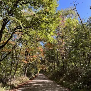 Beautiful Brown County