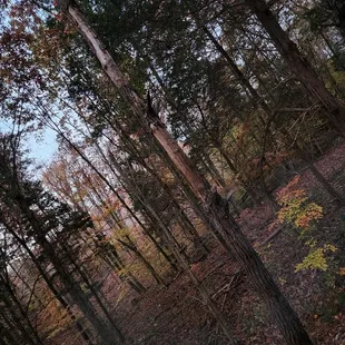 The view when I woke up