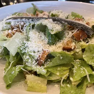 Caesar Salad