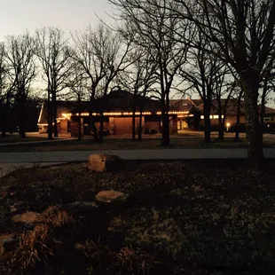 Looking out of the lodge