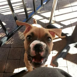 Bella B.