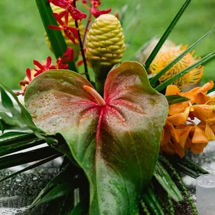 Lounge furniture coffee table arrangement