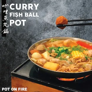Curry Fish Ball Pot