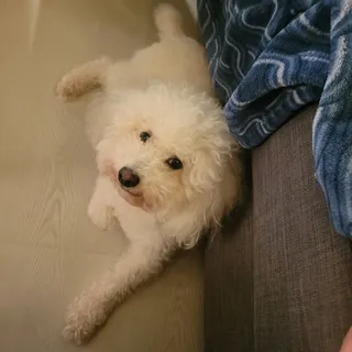 Kai T.