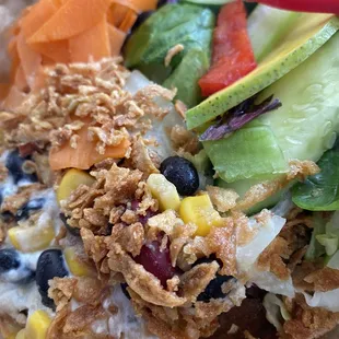 Vegetarian Combo