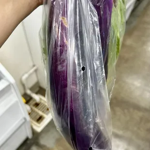 Chinese eggplant
