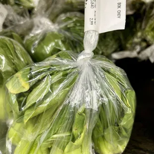 Shanghai choy