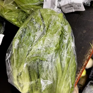 Gai choy