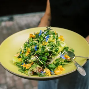 Wild local green and flowers salad (photo: Annie Hall Photography)
