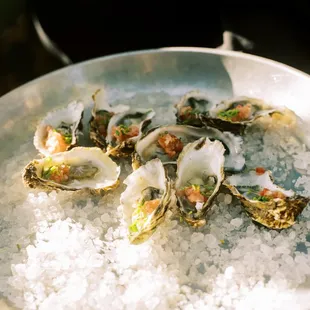 Marin miyagi oyster with stone fruit fennel mignonette (photo: Annie Hall Photography)