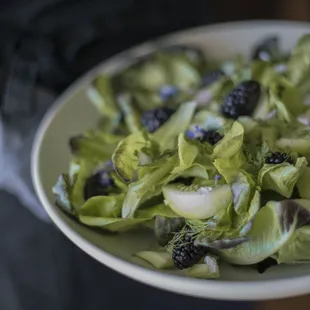 blackberry, borage, cucumber lettuces, chervil, dill, citronette | photo by Freda Banks