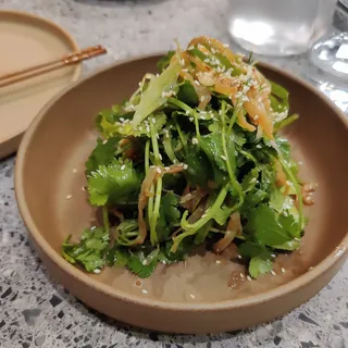 Jellyfish Tiger Salad