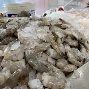 Fresh Shrimp