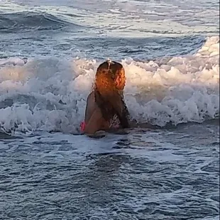 a woman on a surfboard in the ocean