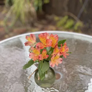 sushi and sashimi, food