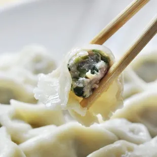 Steamed Chinese dumplings