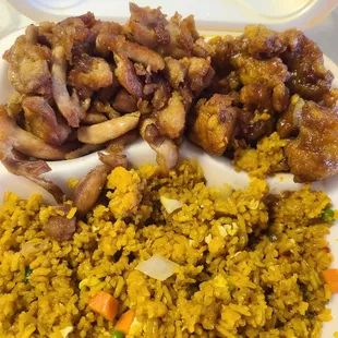 Bourbon chicken, Kung pao chicken, fried rice