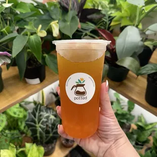 Tea