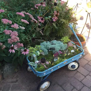 Cute little gift shop, cafe, summer stage and beer!!