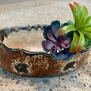 Use for your potted plants...