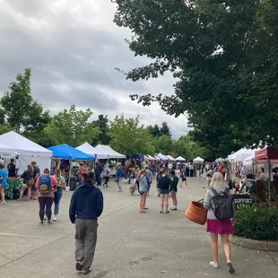 a crowd of people walking around