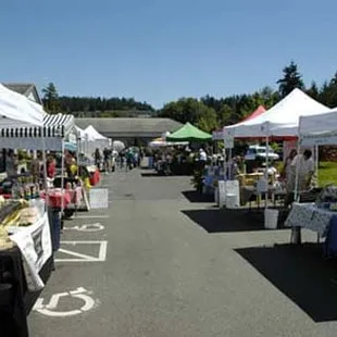 a wide view of the market