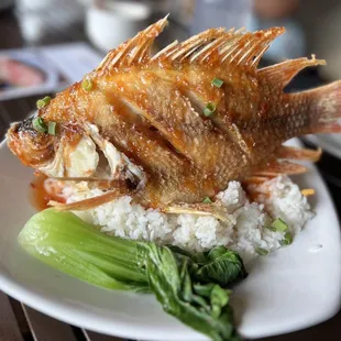 a plate of fried fish with rice and broccoli