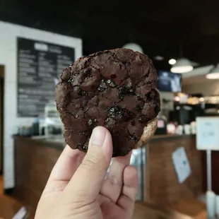 a hand holding a chocolate cookie