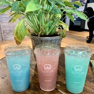 Lotus Plant Energy Drinks - Blue Lagoon, Pink Berry Bliss &amp; Specialty Teal drink (Go Jags!)
