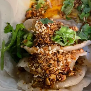 Sichuan Dumplings