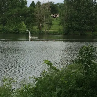 Beautiful park that offers many amenities!