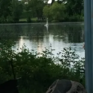 Taken about a year. Lochness made it over here :)