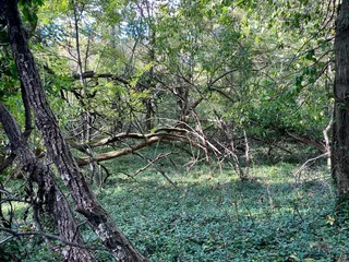 Cave Spring Interpretive Center