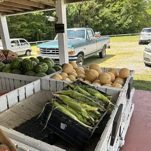 Fresh vegetables