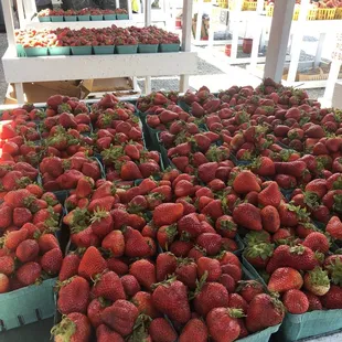 Strawberries