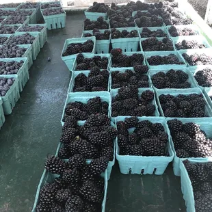 More berries - blue and black