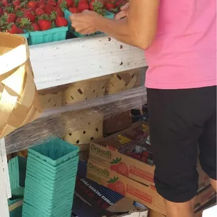 Driscoll&apos;s strawberries!